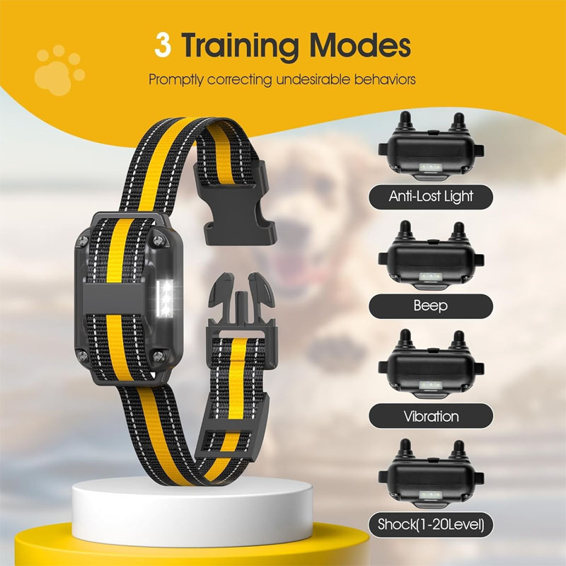 dog training collars