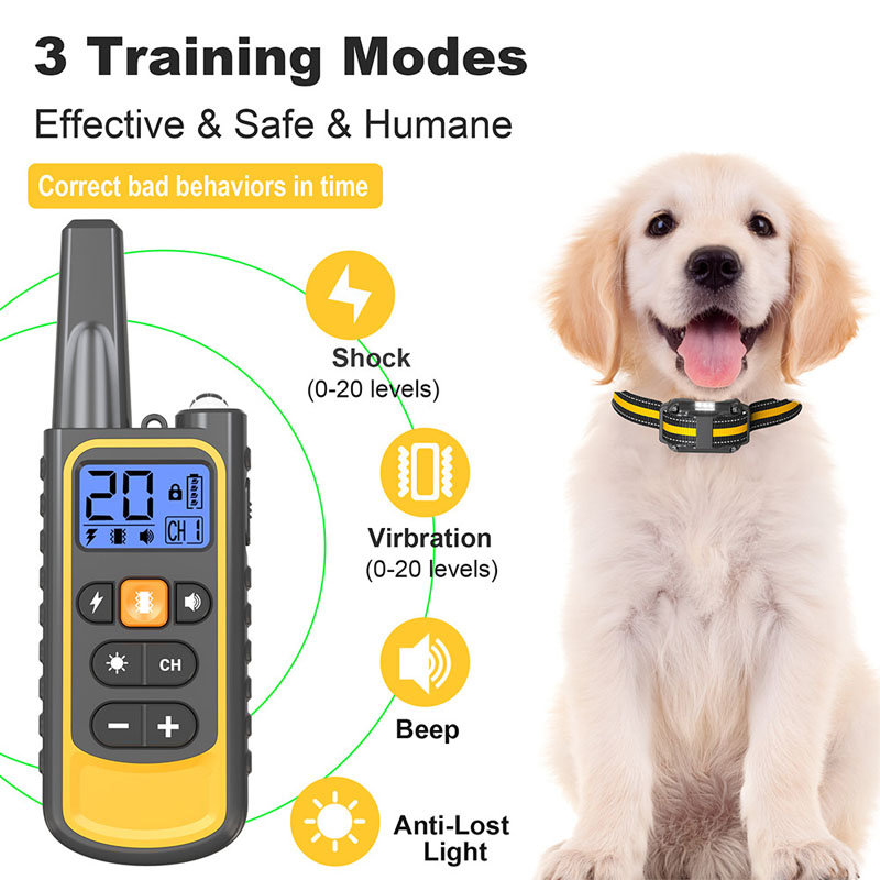 dog training collars