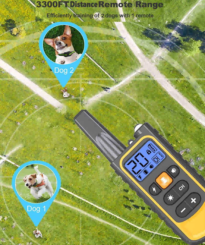 dog training collars