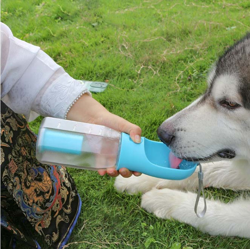 Portable Cat Dog Water Bottle
