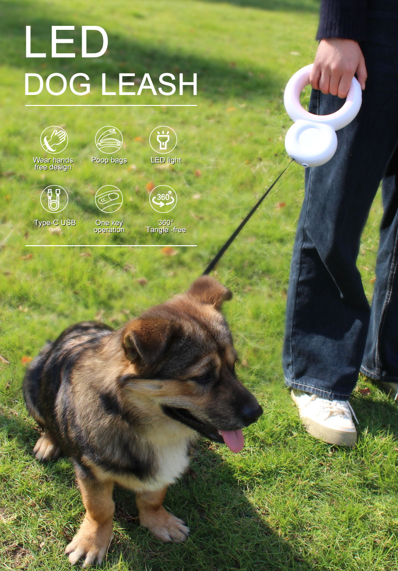dog leash  