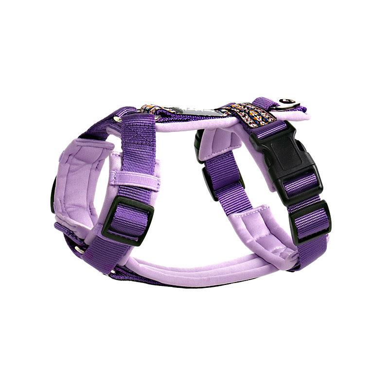 dog harness