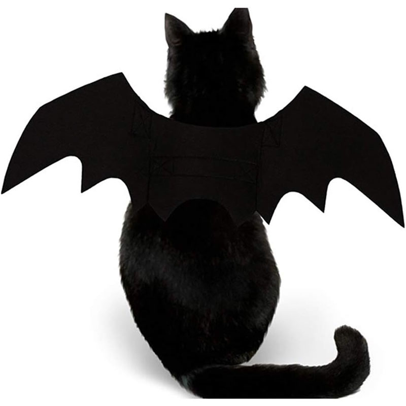 Pet Cat Bat Wings for Halloween Party
