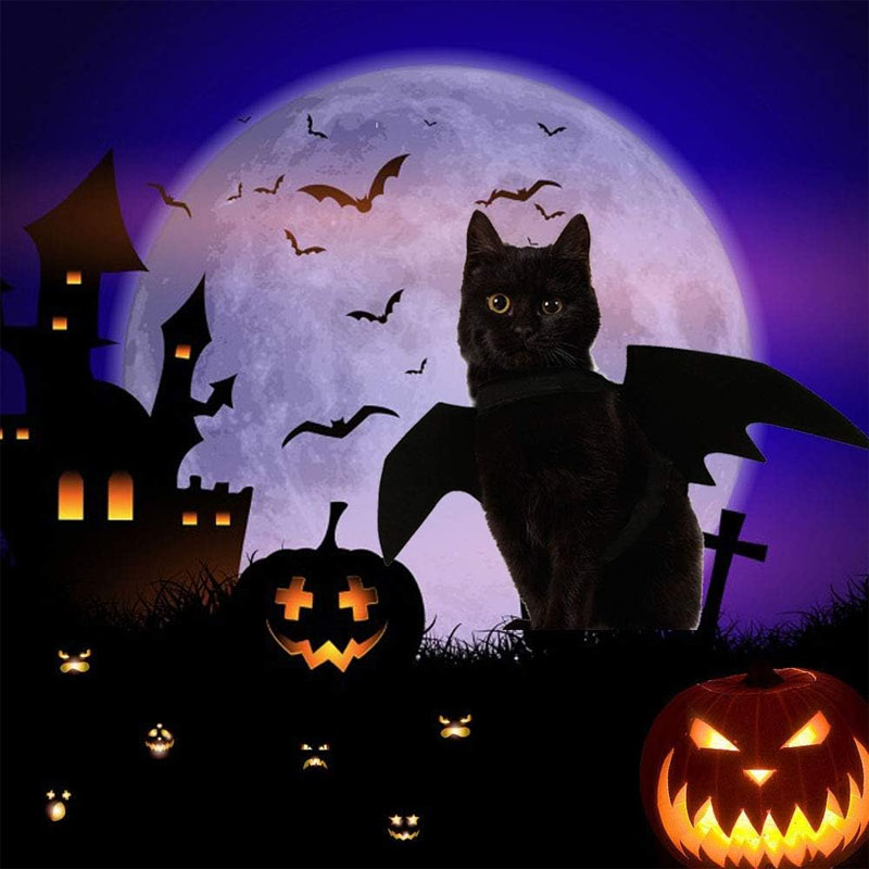 Pet Cat Bat Wings for Halloween Party