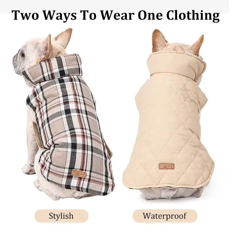 dog coat