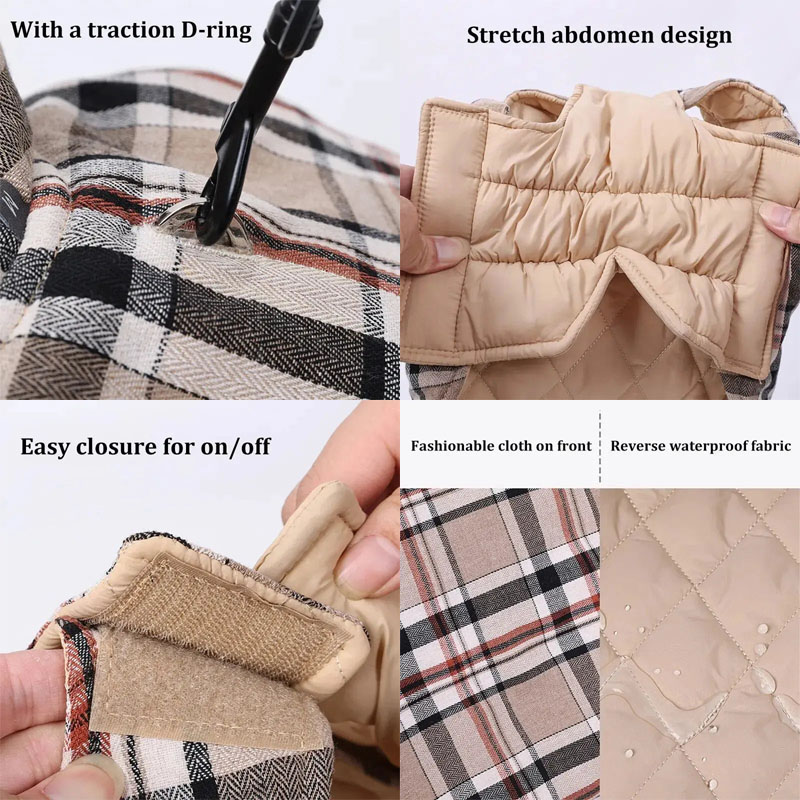 dog coat