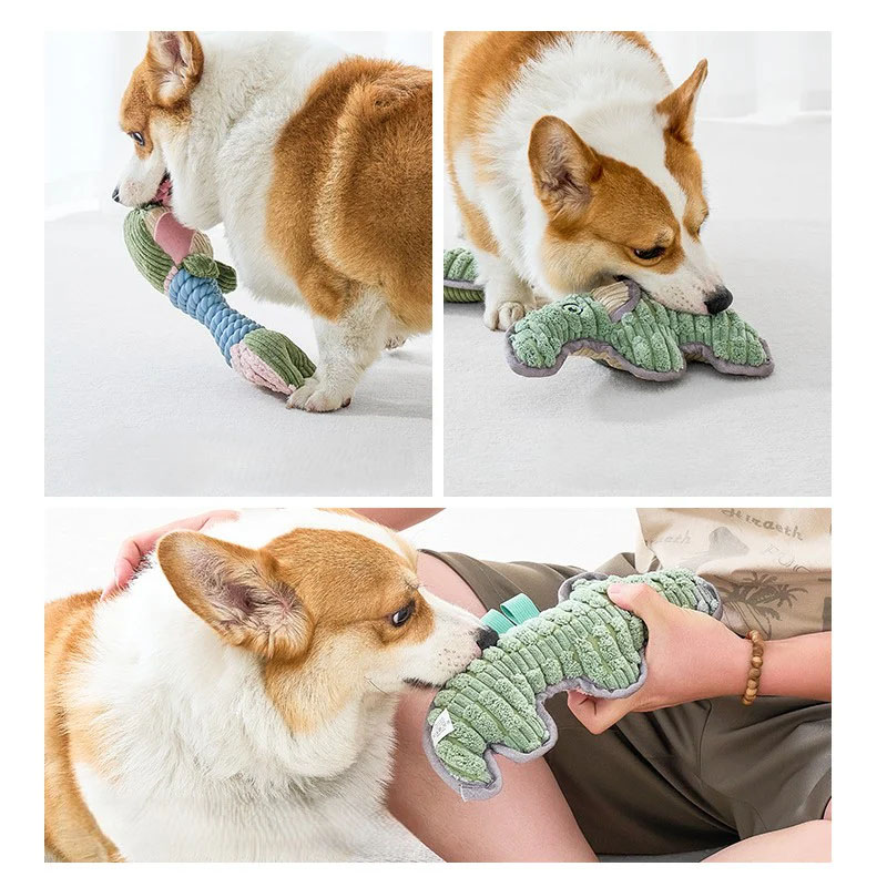 dog toys