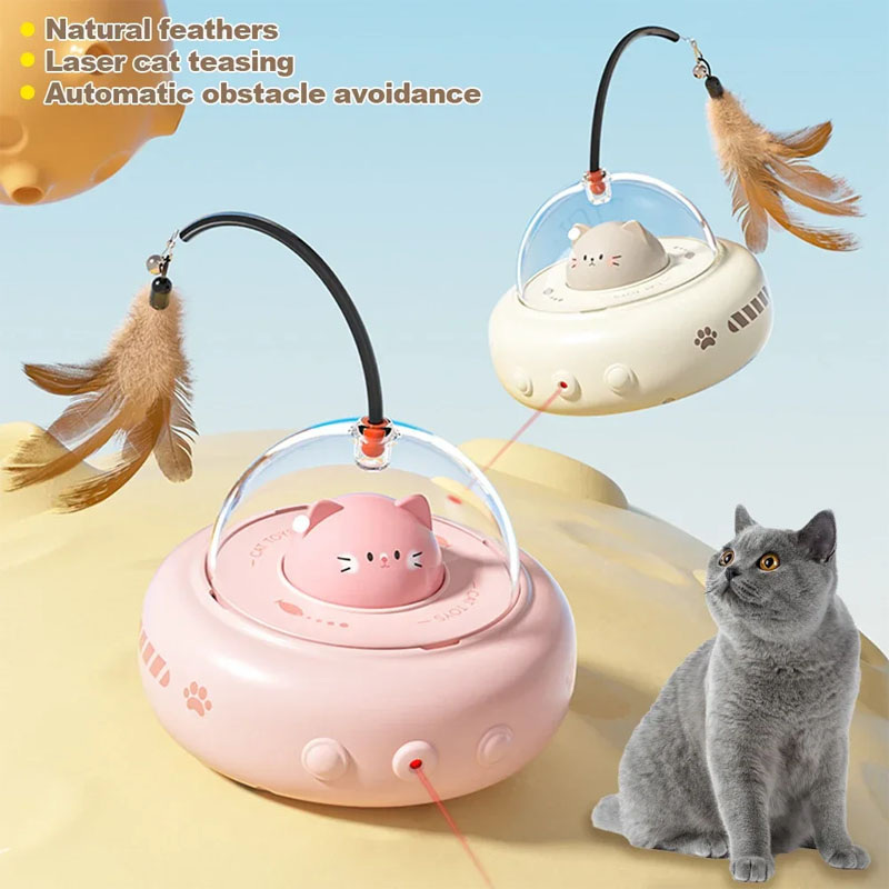 cat toys