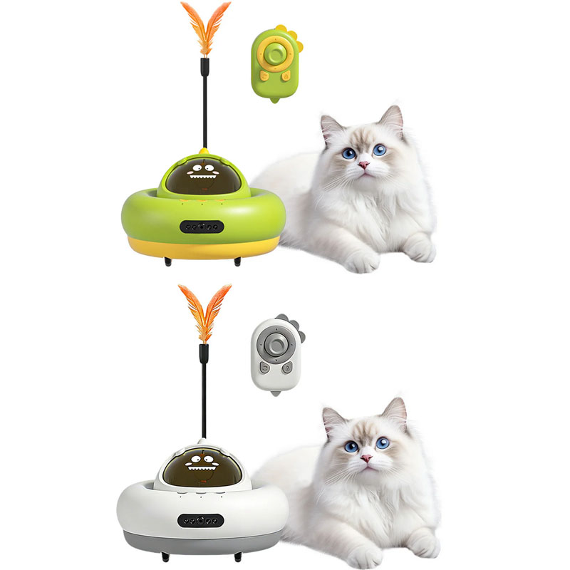 cat toys