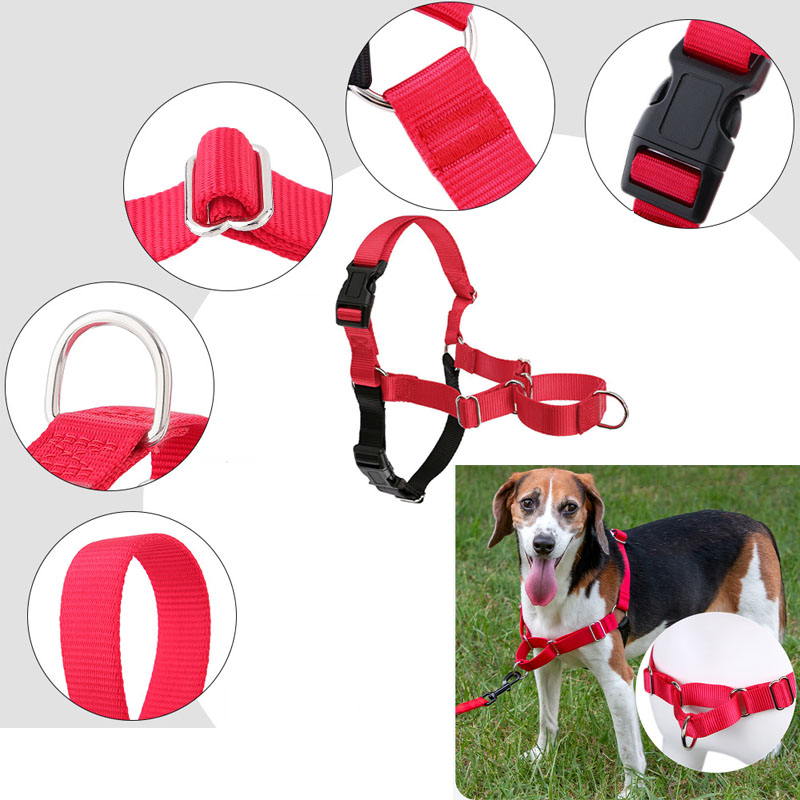 Dog Harness