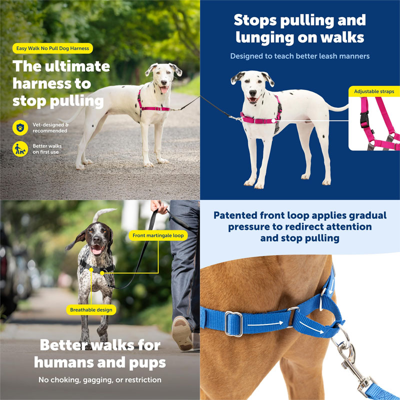 Dog Harness