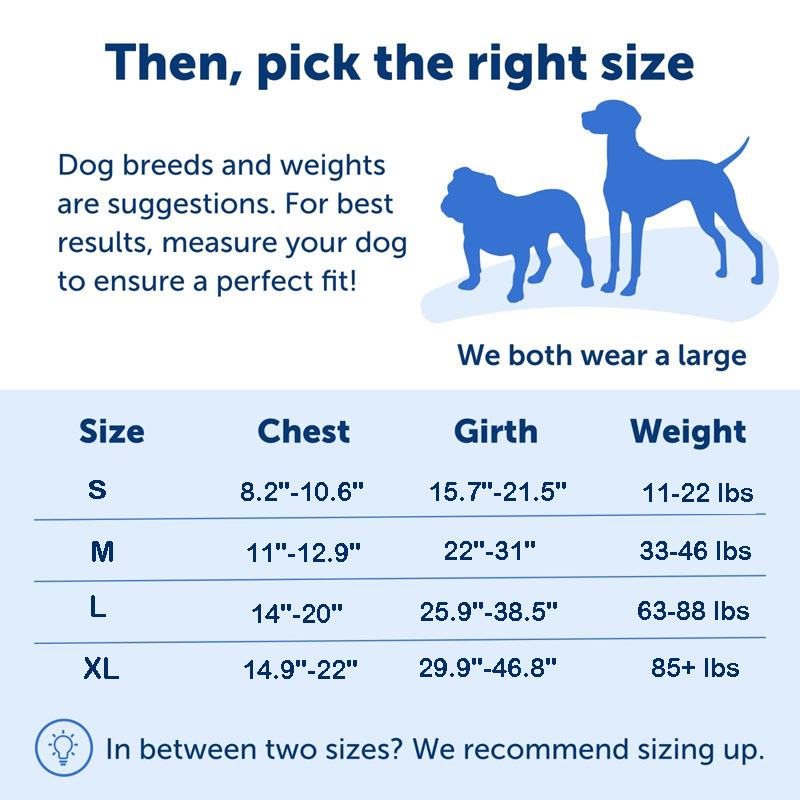 Dog Harness