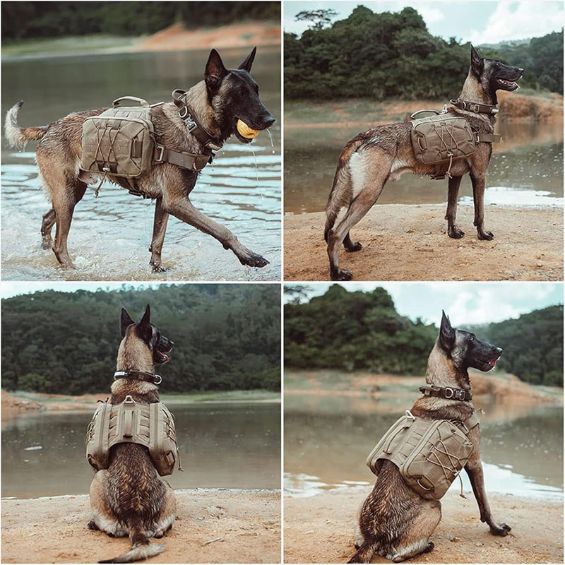 dog backpack