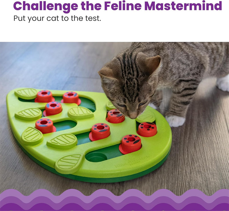 cat puzzle feeder