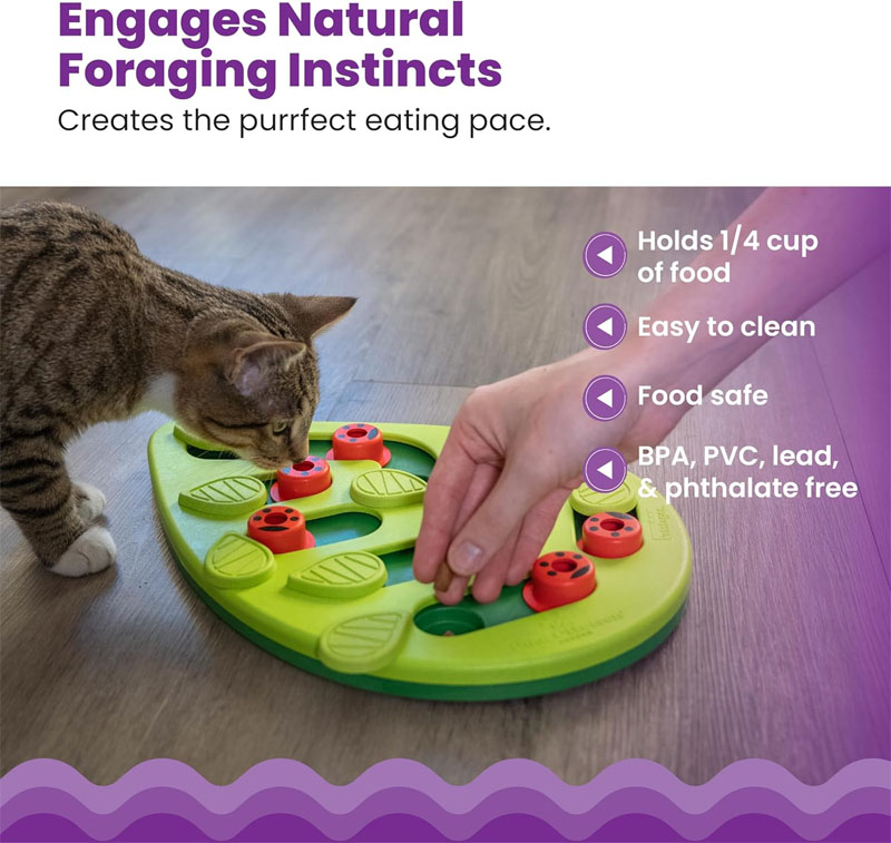 cat puzzle feeder
