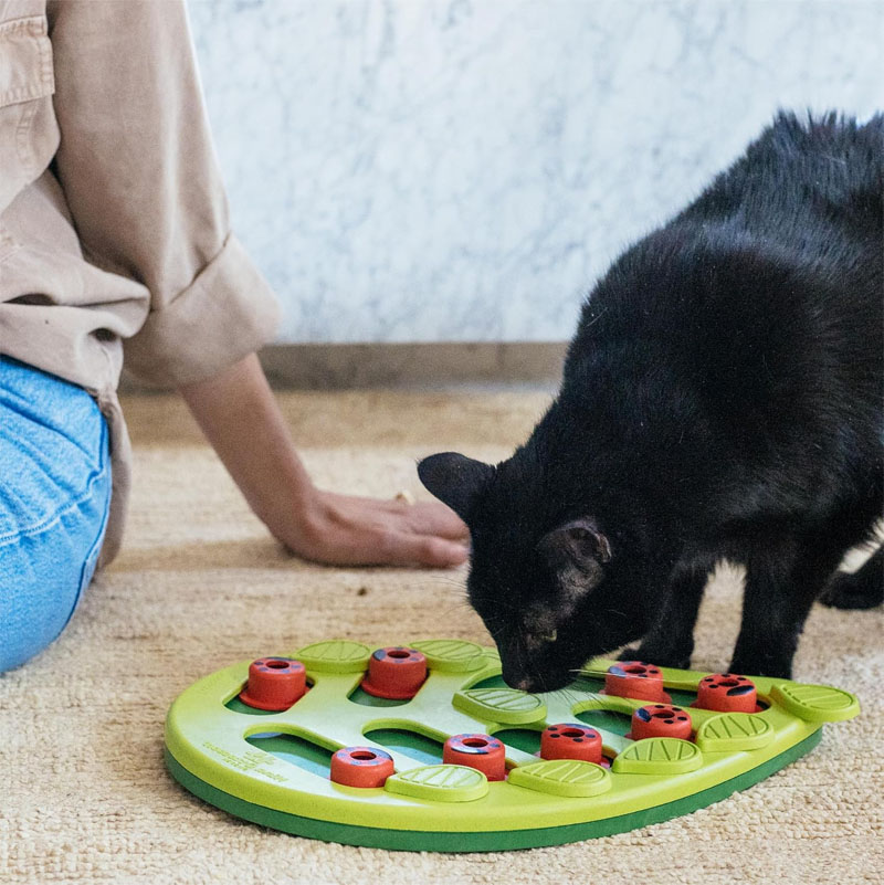 cat puzzle feeder