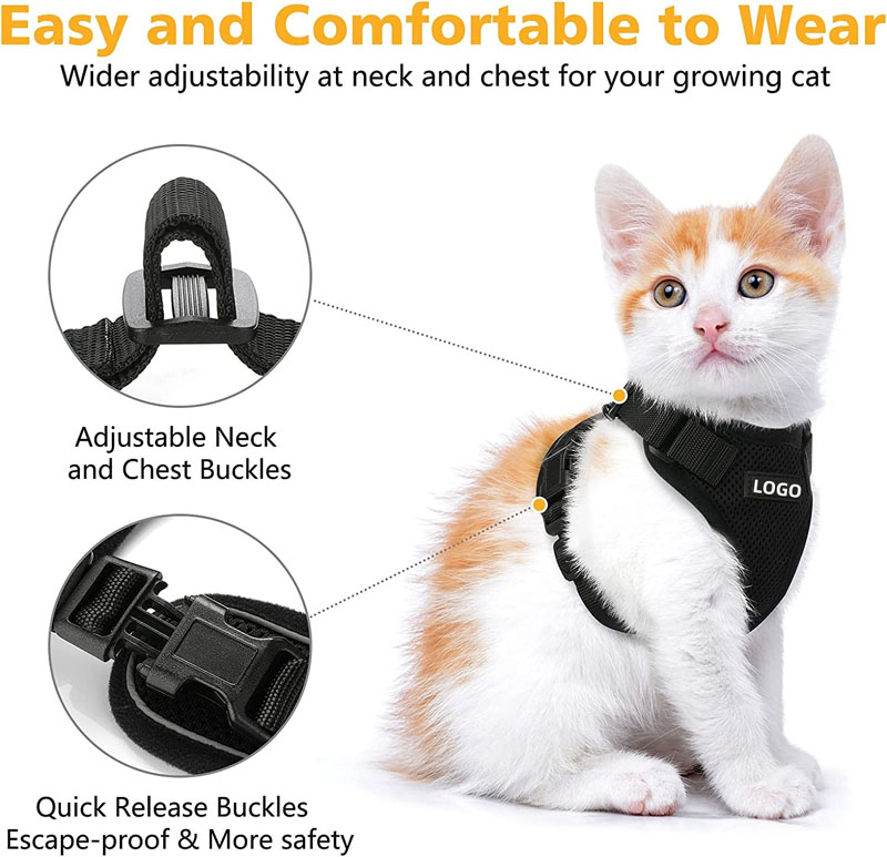 cat harness and leash