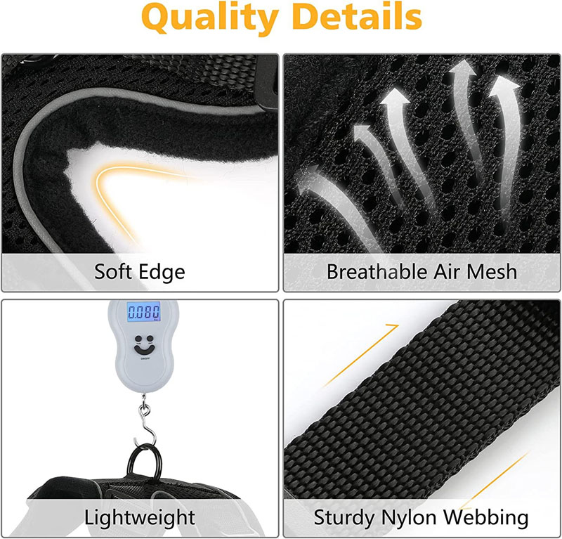 cat harness and leash