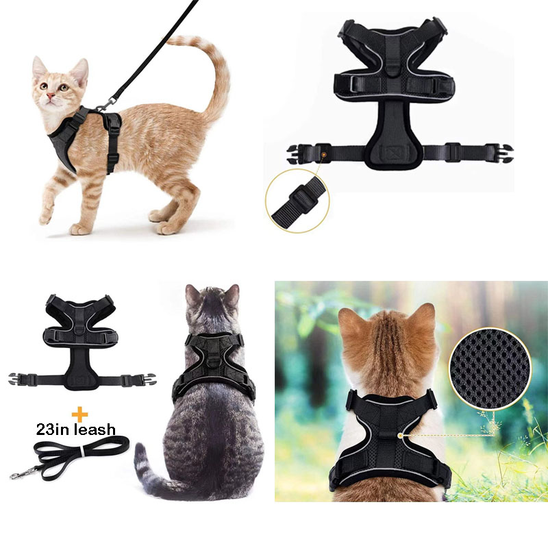 cat harness and leash