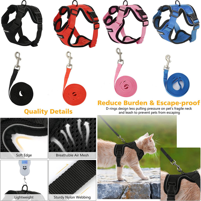 cat harness and leash