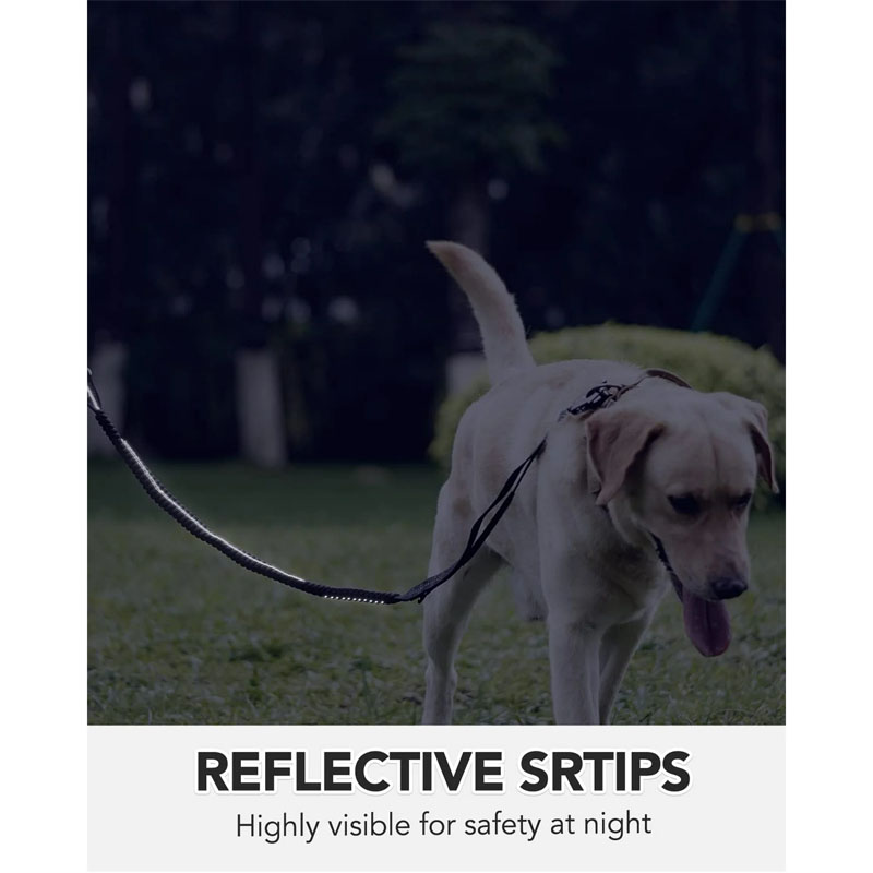 no pull dog harness