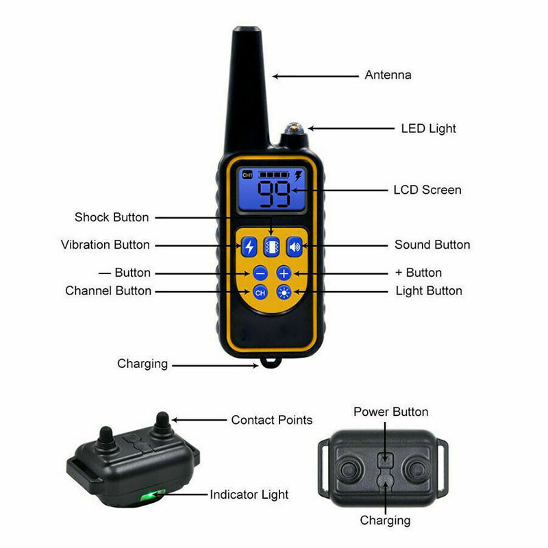 dog training collars