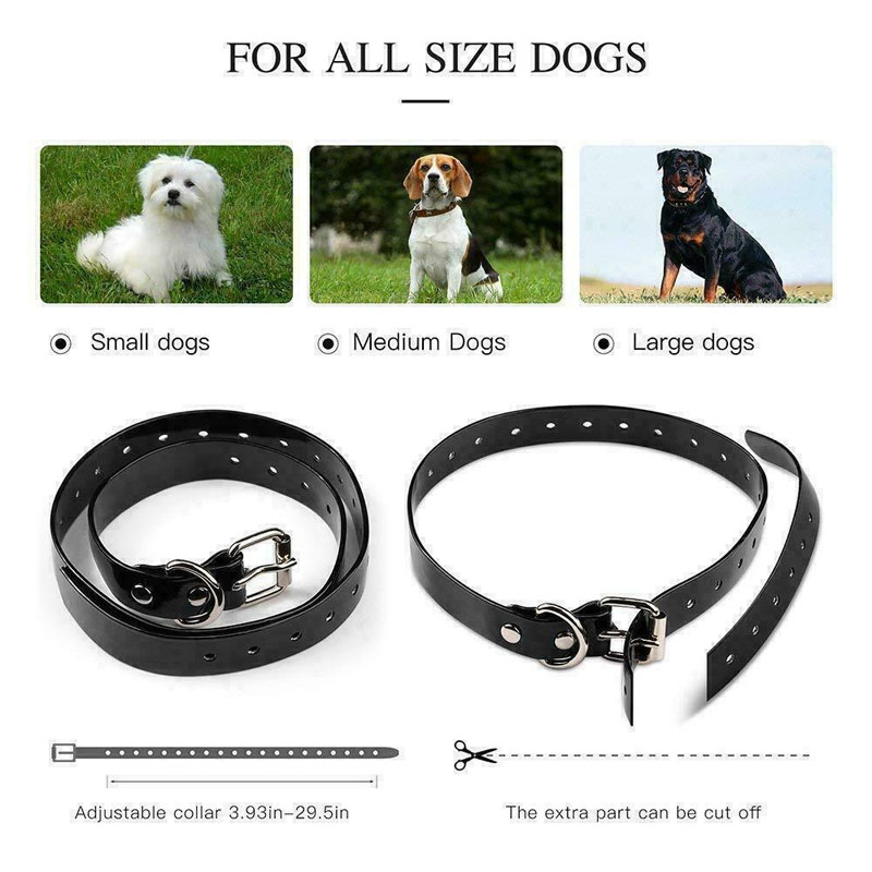 dog training collars