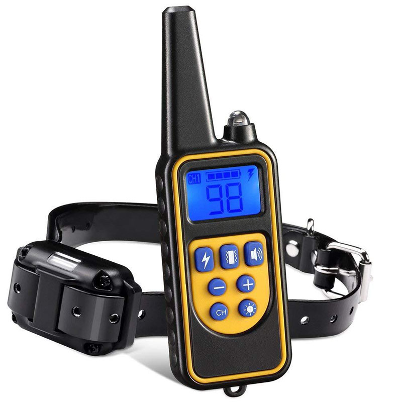 dog training collars