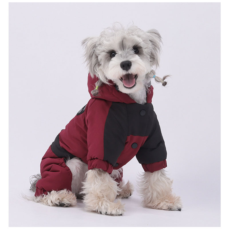 dog coats