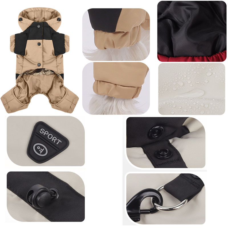 dog coats