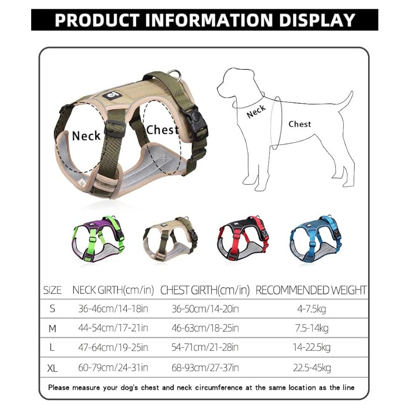 dog coats