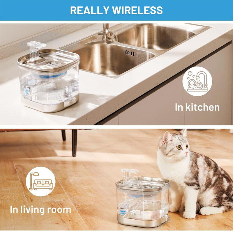 cat water fountains