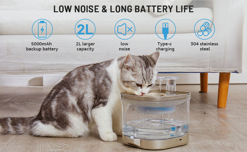 cat water fountains