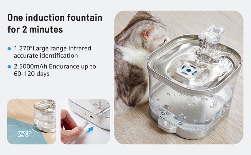 cat water fountains