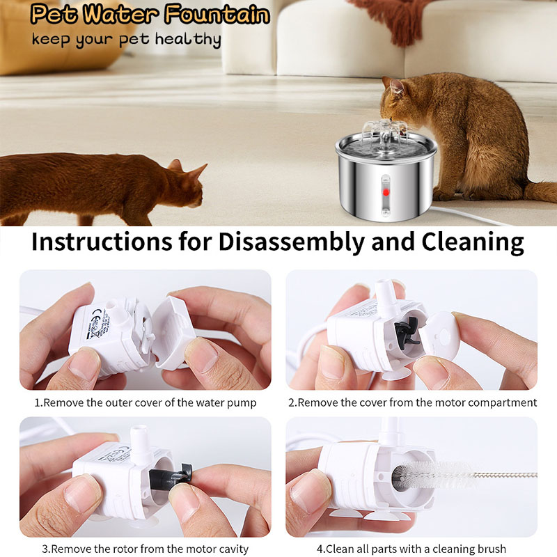 cat water fountains