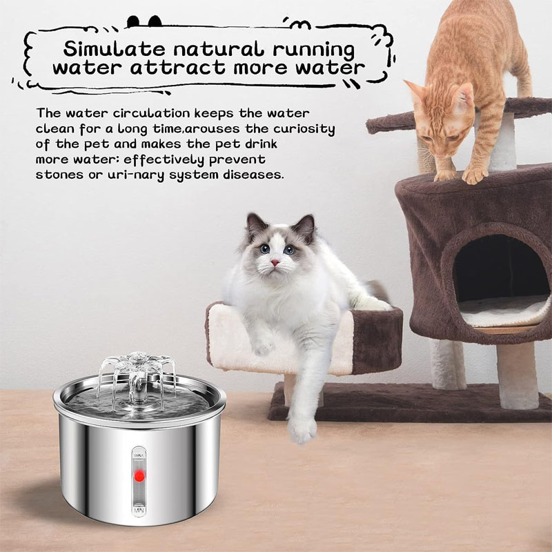 cat water fountains