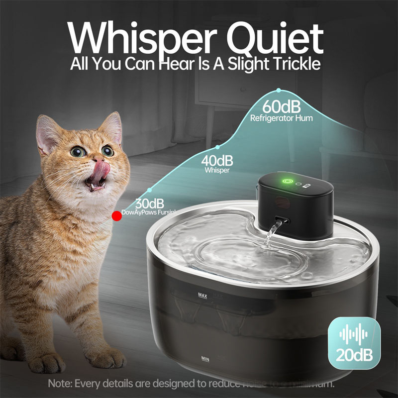 cat drinking fountain