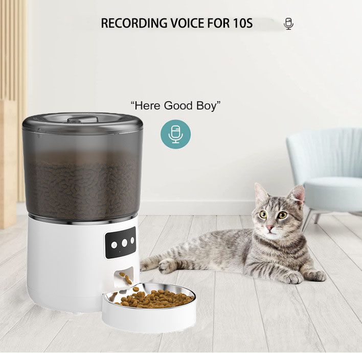 automatic pet feeder